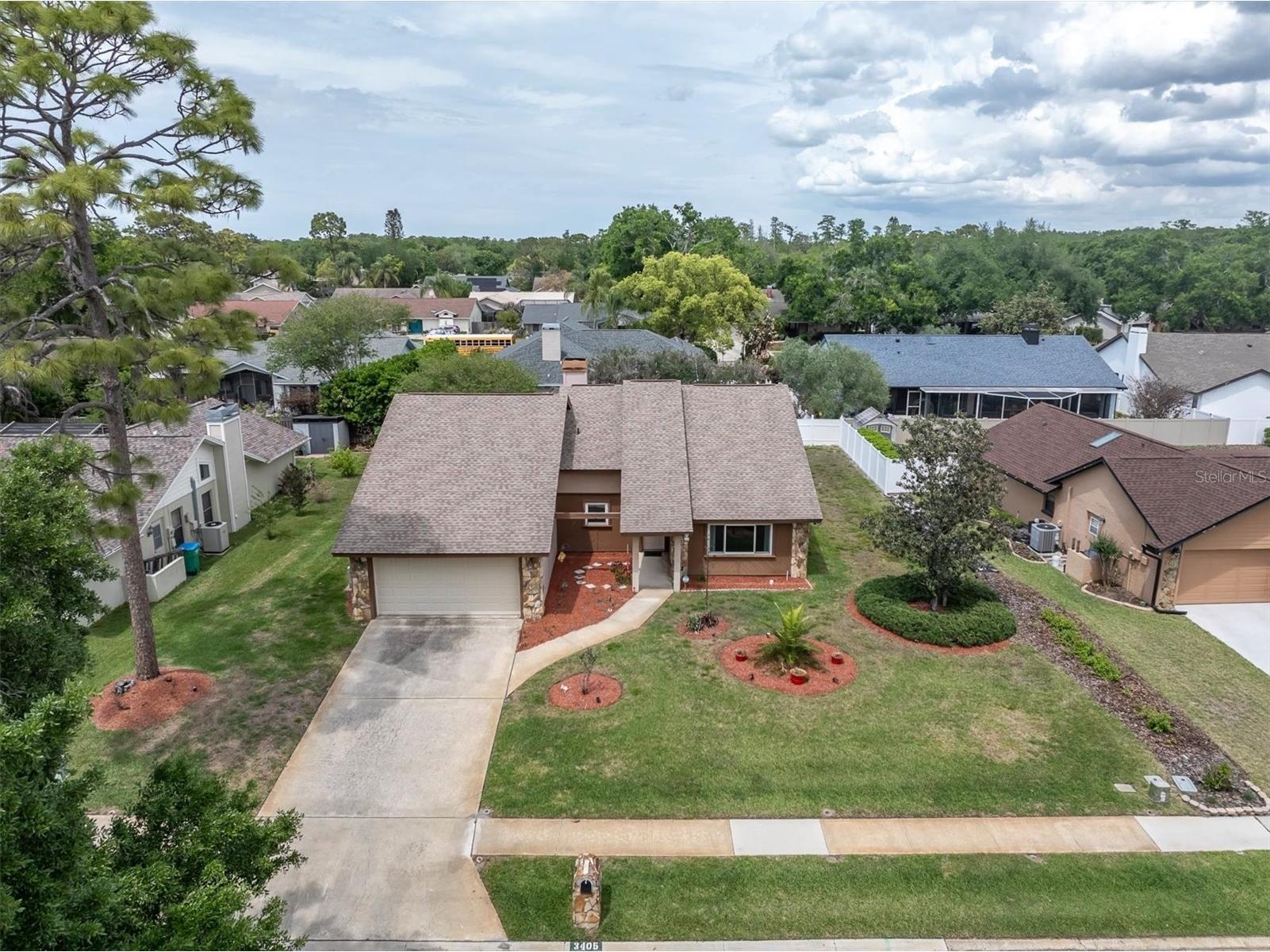 3405 Brian Road S Palm Harbor FL 34685 TB8494581 image7