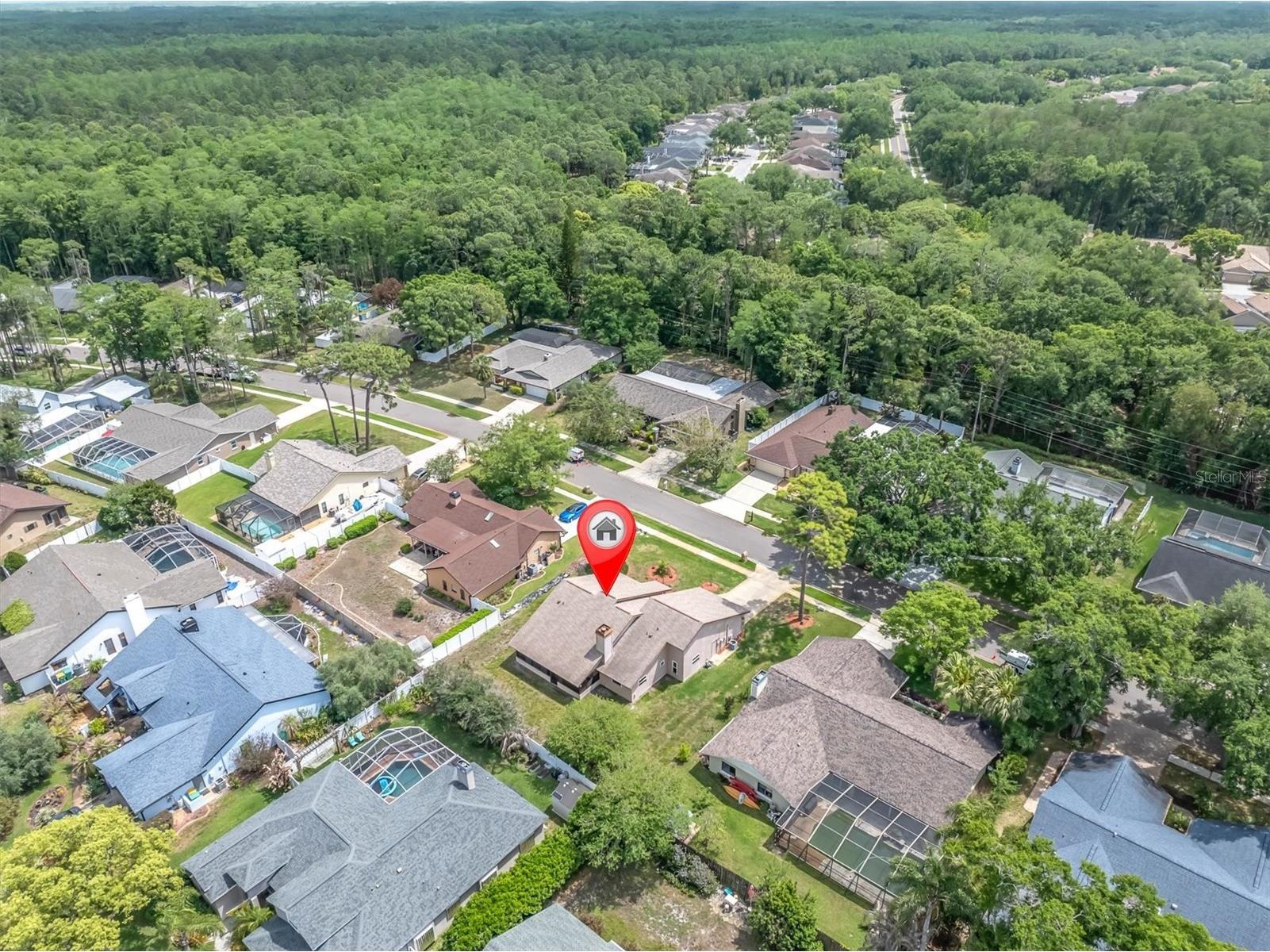 3405 Brian Road S Palm Harbor FL 34685 TB8494581 image8