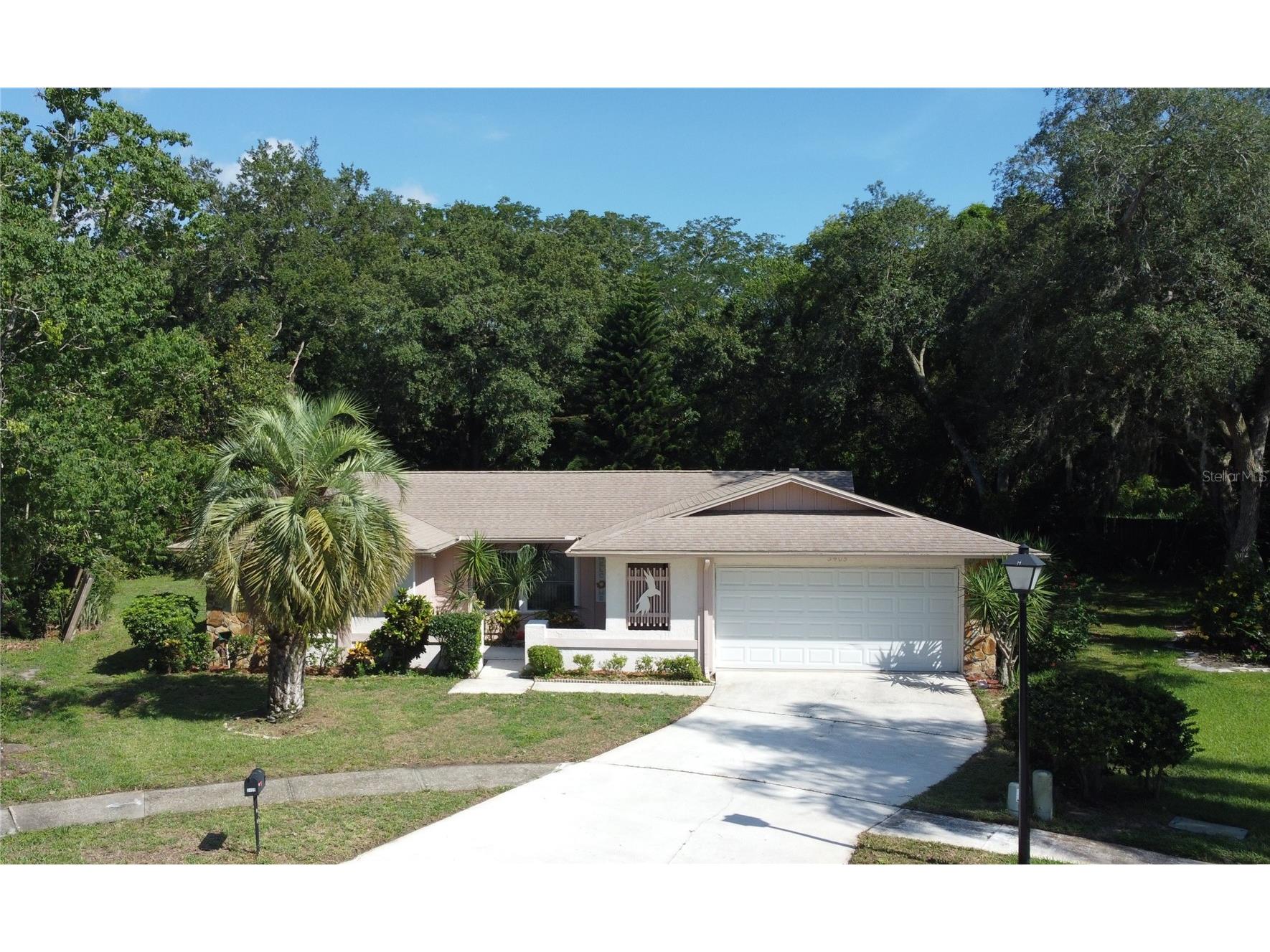 3405 Dove Hollow Court Palm Harbor FL 34683 TB8465907 image1