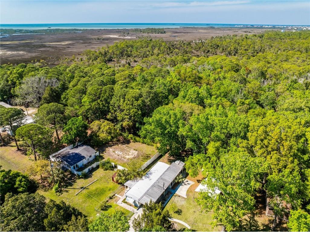 3405 Fremont Lane Spring Hill FL 34607 TB8403860 image29