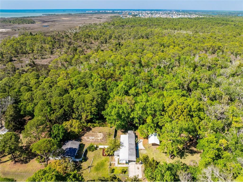 3405 Fremont Lane Spring Hill FL 34607 TB8403860 image31