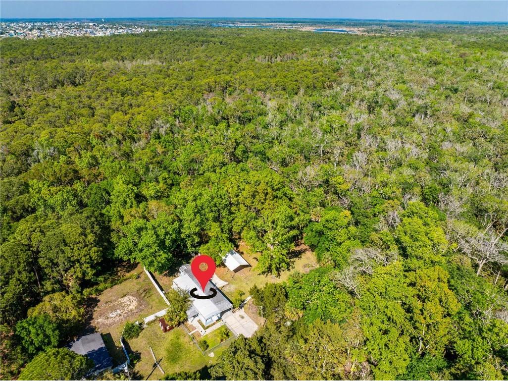 3405 Fremont Lane Spring Hill FL 34607 TB8403860 image32