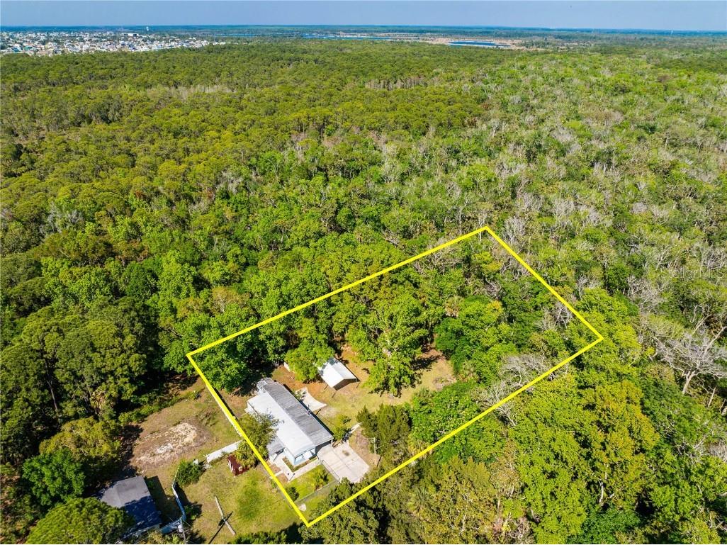 3405 Fremont Lane Spring Hill FL 34607 TB8403860 image33