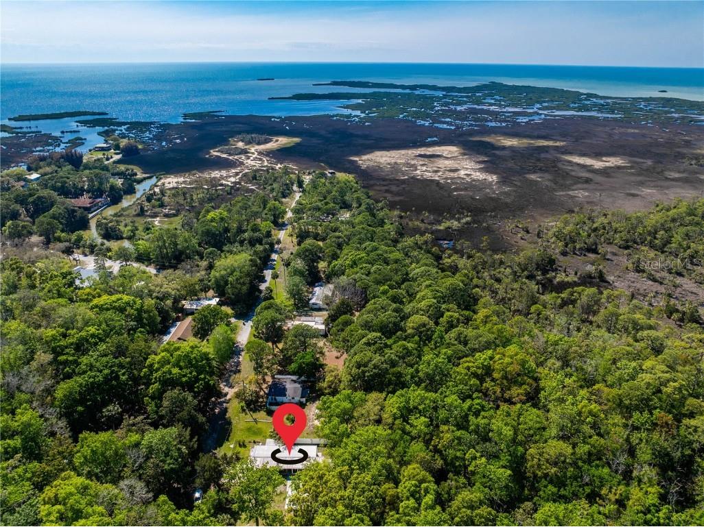 3405 Fremont Lane Spring Hill FL 34607 TB8403860 image34