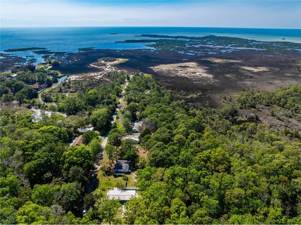 3405 Fremont Lane Spring Hill FL 34607 TB8403860 image35