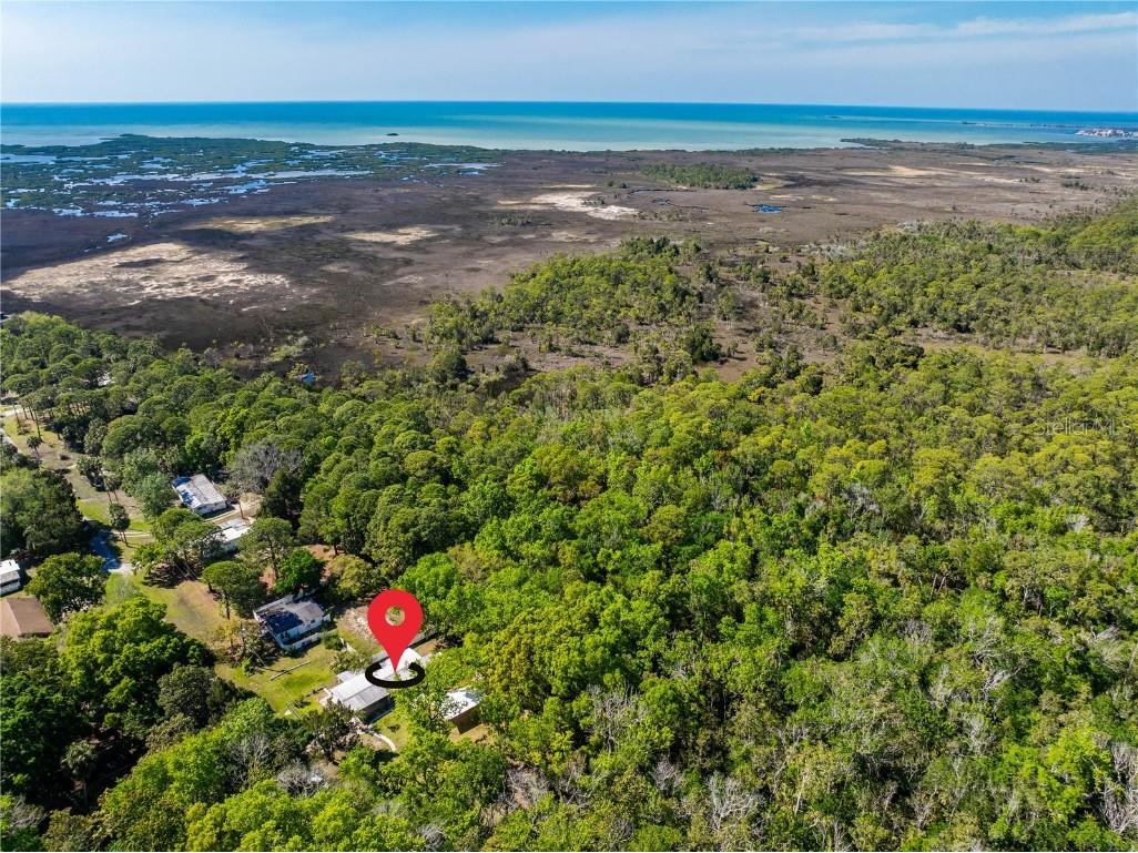 3405 Fremont Lane Spring Hill FL 34607 TB8403860 image36