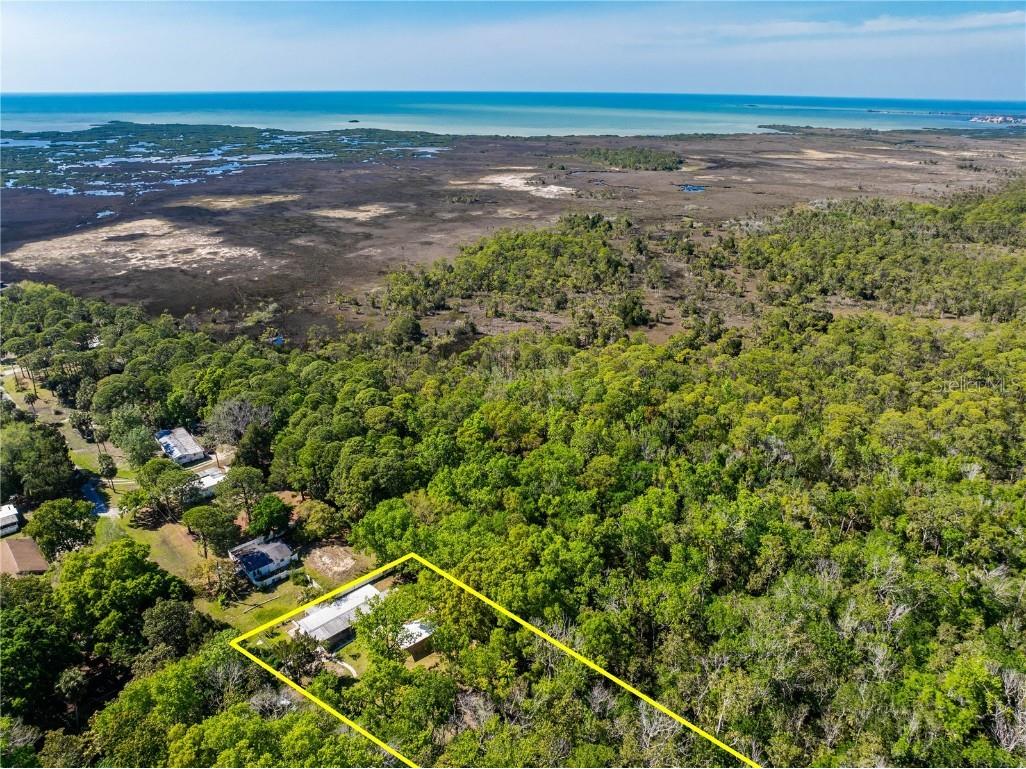 3405 Fremont Lane Spring Hill FL 34607 TB8403860 image37