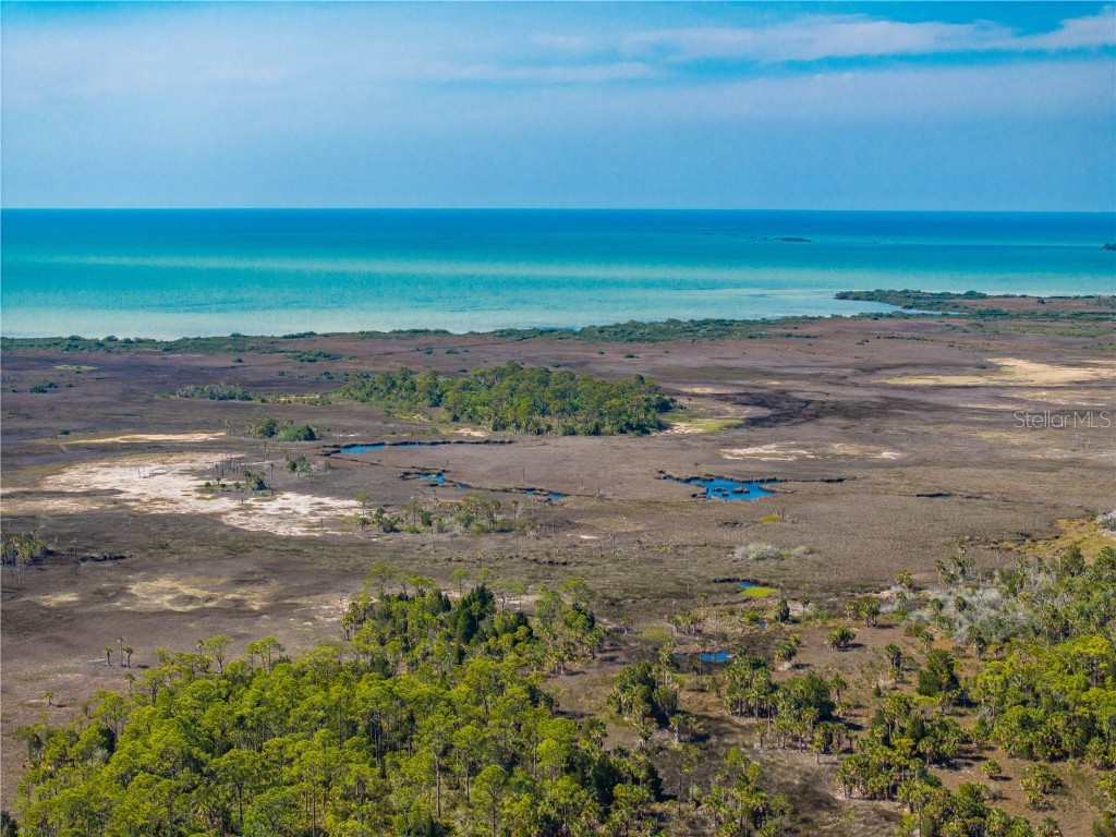 3405 Fremont Lane Spring Hill FL 34607 TB8403860 image38