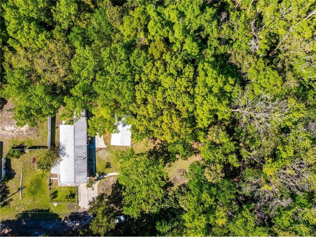 3405 Fremont Lane Spring Hill FL 34607 TB8403860 image39