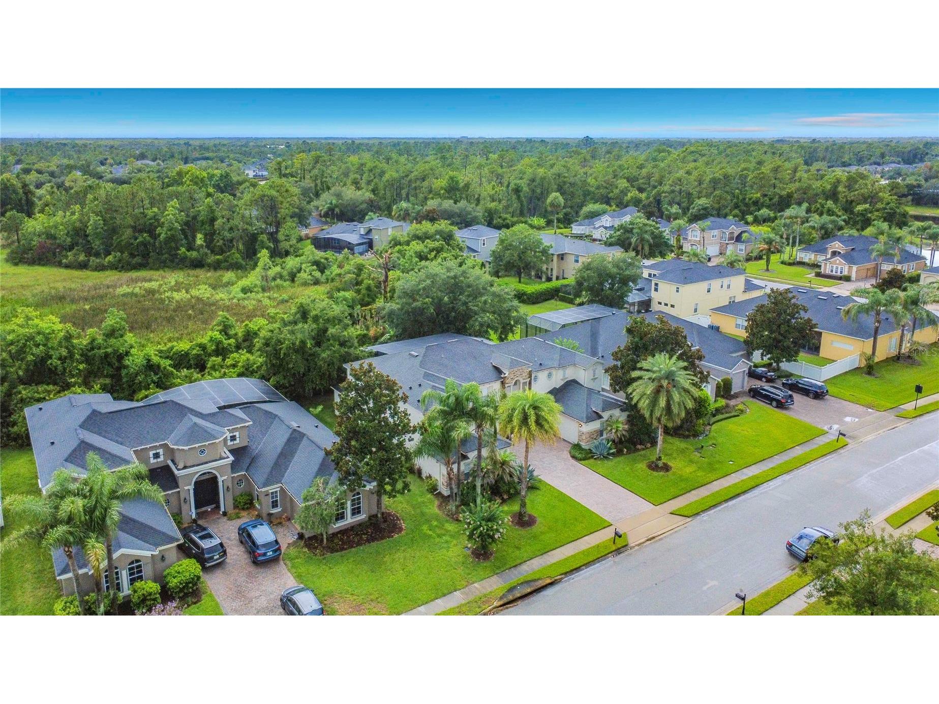 3405 Heirloom Rose Place Oviedo FL 32766 O6418159 image54
