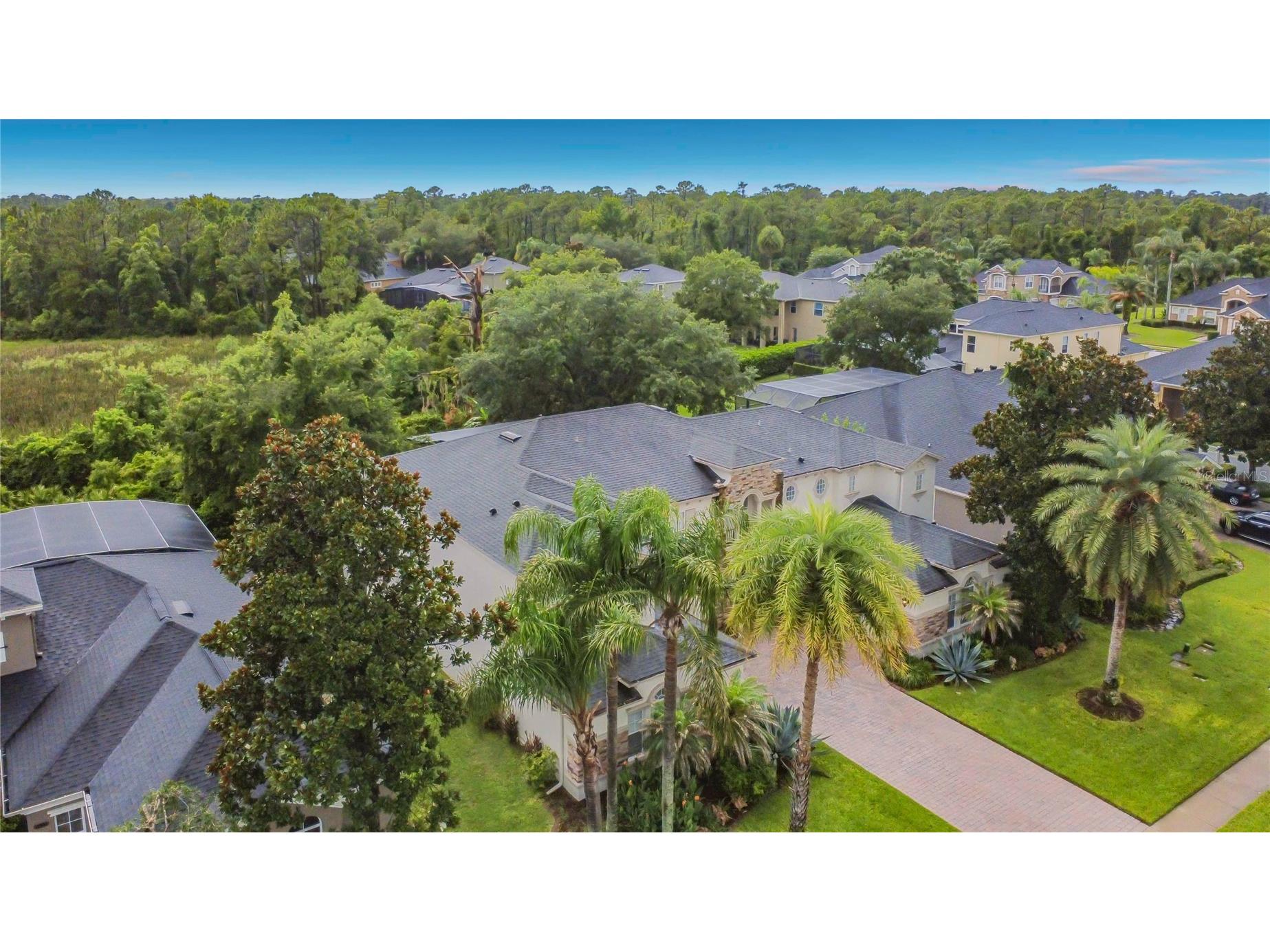 3405 Heirloom Rose Place Oviedo FL 32766 O6418159 image59