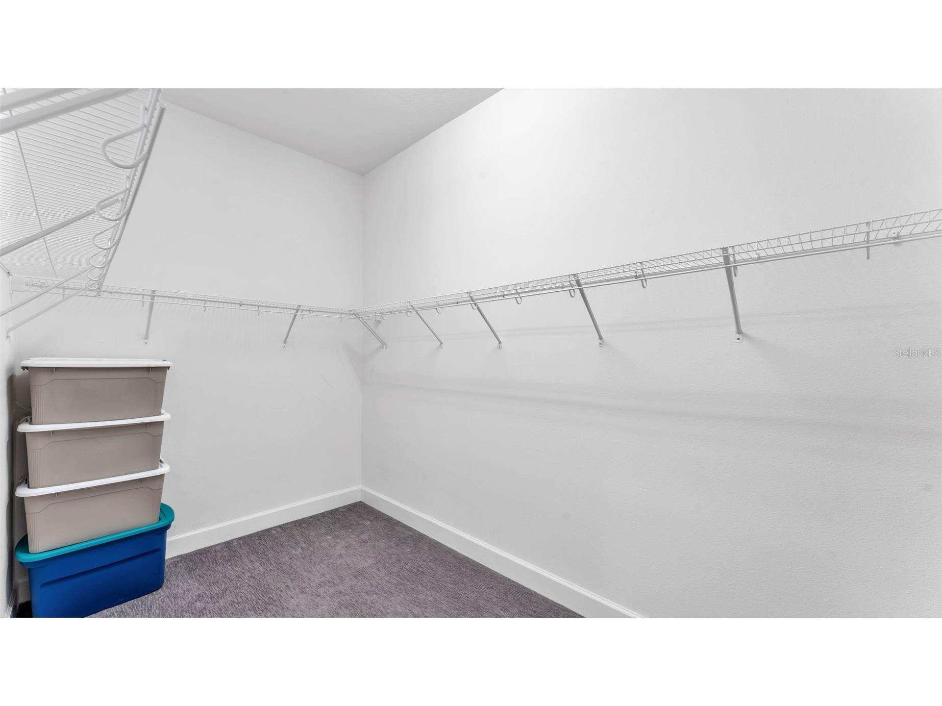 3405 Juniper Springs Street Wesley Chapel FL 33543 L4961146 image33