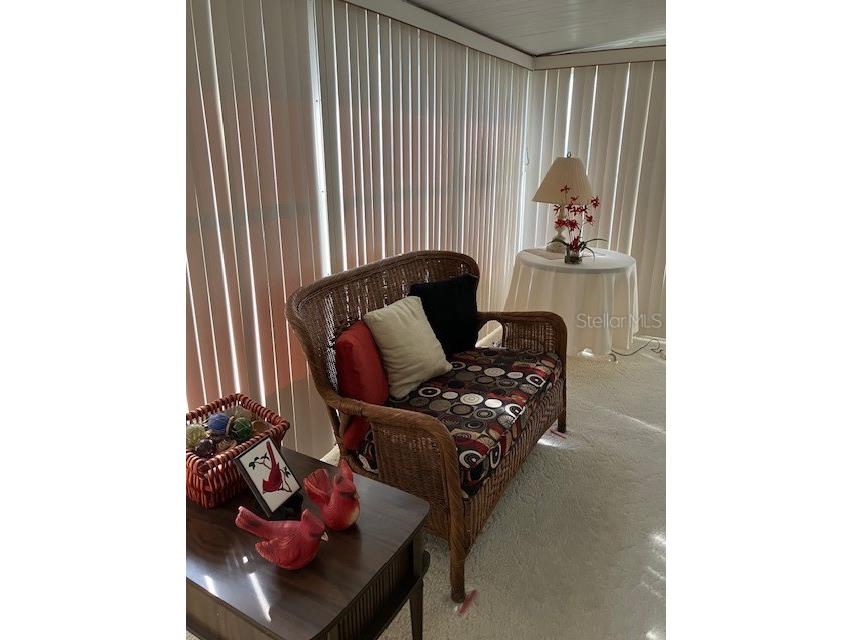 3405 Lanark Drive Holiday FL 34690 TB8464185 image21
