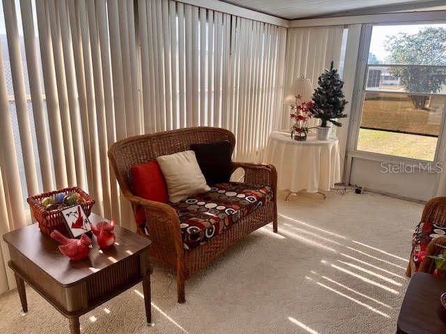 3405 Lanark Drive Holiday FL 34690 TB8464185 image4