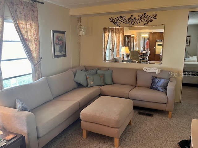 3405 Lanark Drive Holiday FL 34690 TB8464185 image5