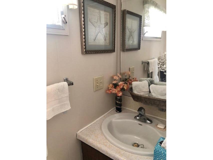 3405 Lanark Drive Holiday FL 34690 TB8464185 image9