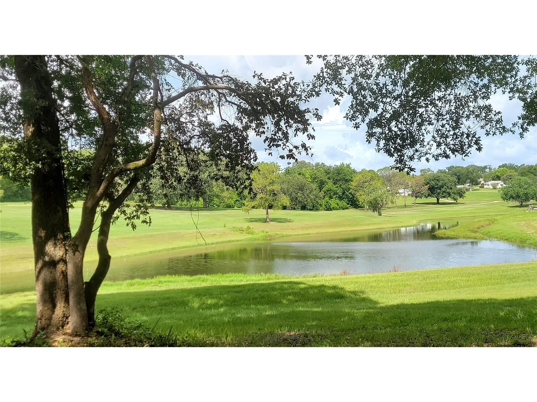 3405 Overlook Road #1623 Zellwood FL 32798 - LAKE GRASSMERE AND LAKE COHEN O6382565 image41