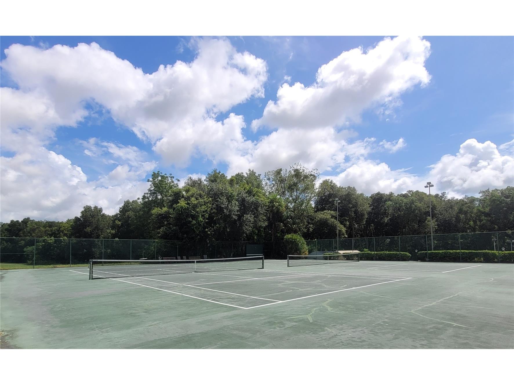 3405 Overlook Road #1623 Zellwood FL 32798 - LAKE GRASSMERE AND LAKE COHEN O6382565 image43