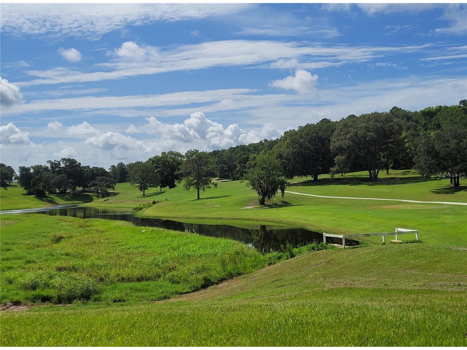 3405 Overlook Road #1623 Zellwood FL 32798 - LAKE GRASSMERE AND LAKE COHEN O6382565 image44
