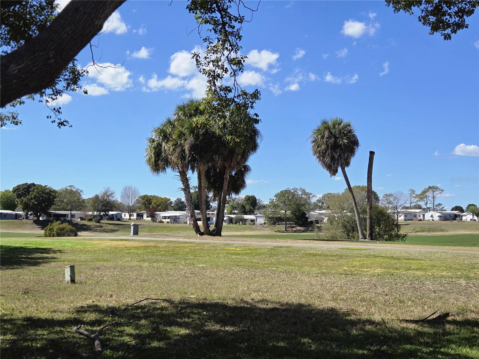 3405 Overlook Road #1623 Zellwood FL 32798 - LAKE GRASSMERE AND LAKE COHEN O6382565 image5