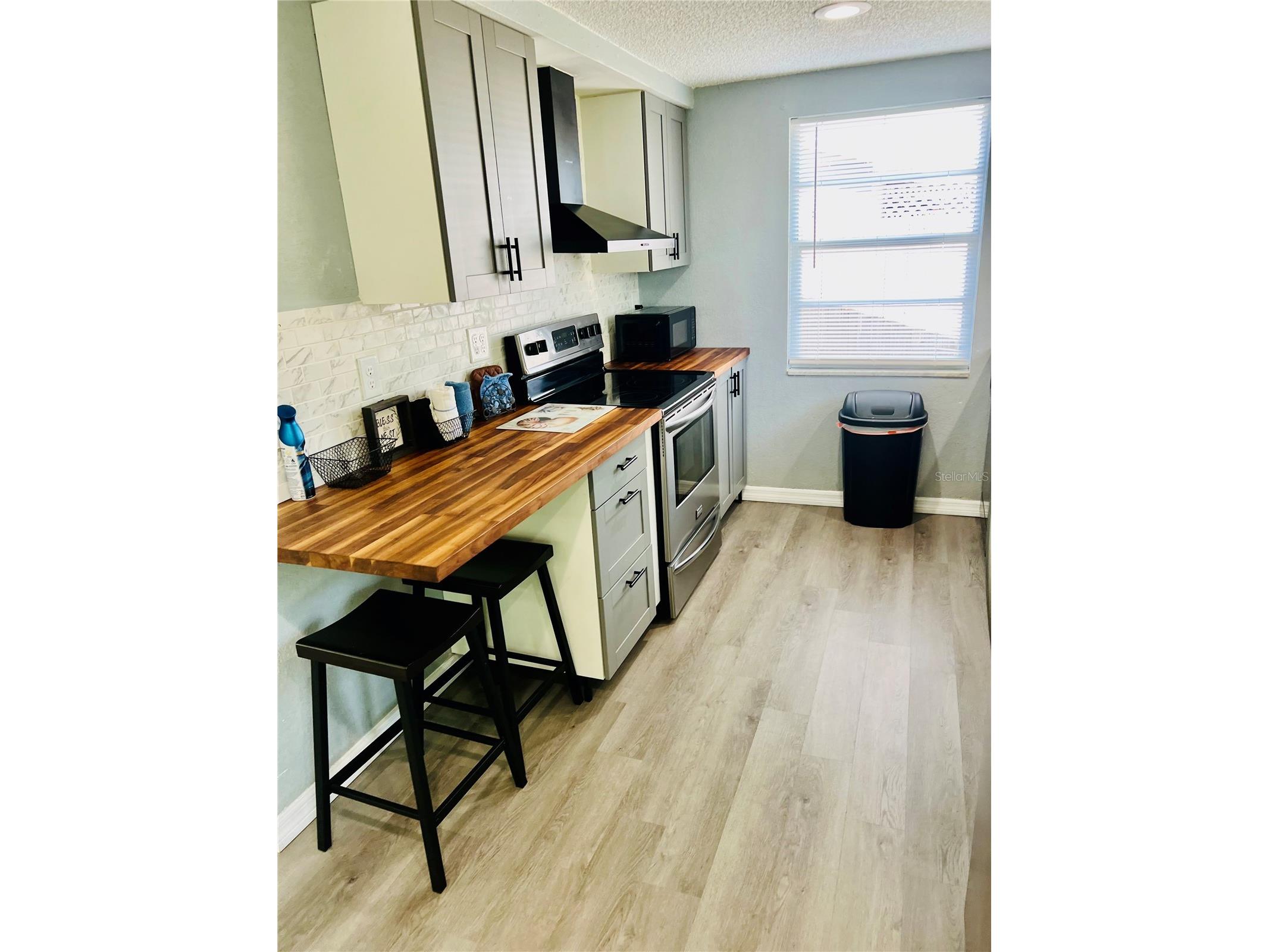 3405 Wilson Drive Holiday FL 34691 TB8483326 image9