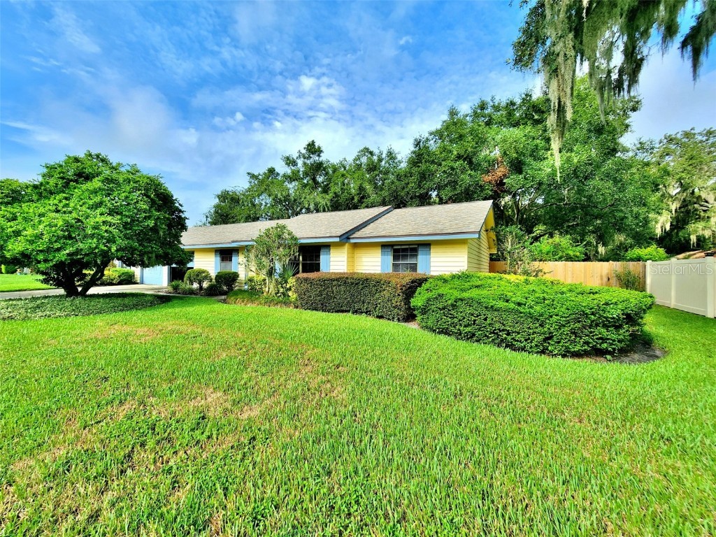 3406 Blowing Oak Street Valrico FL 33596 A4622293 image1