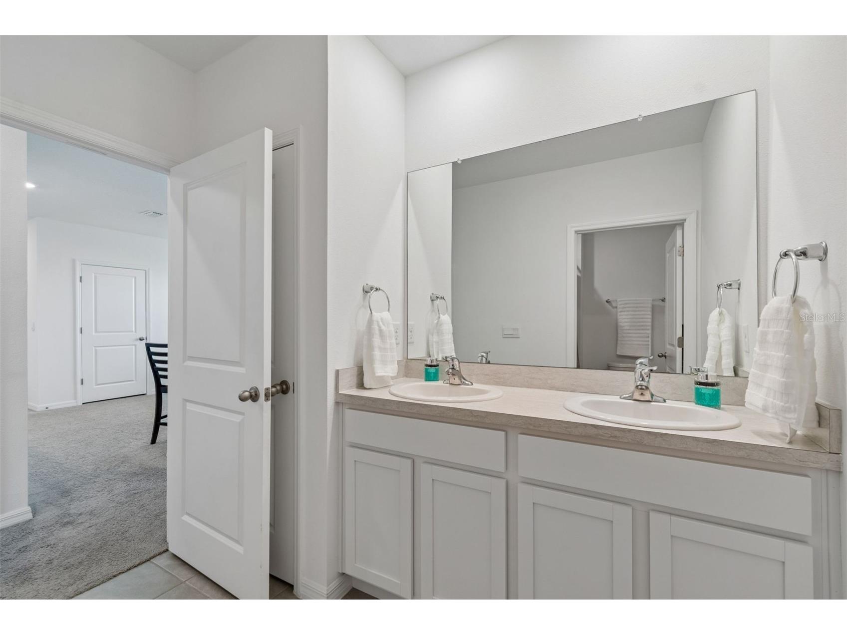 3406 Grassy Knoll Court Plant City FL 33565 A4691930 image12