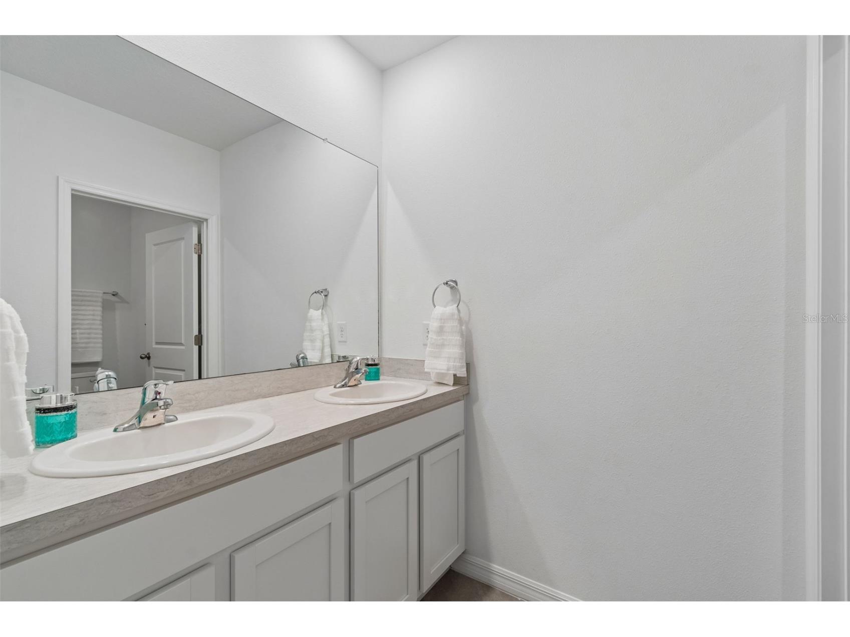 3406 Grassy Knoll Court Plant City FL 33565 A4691930 image8