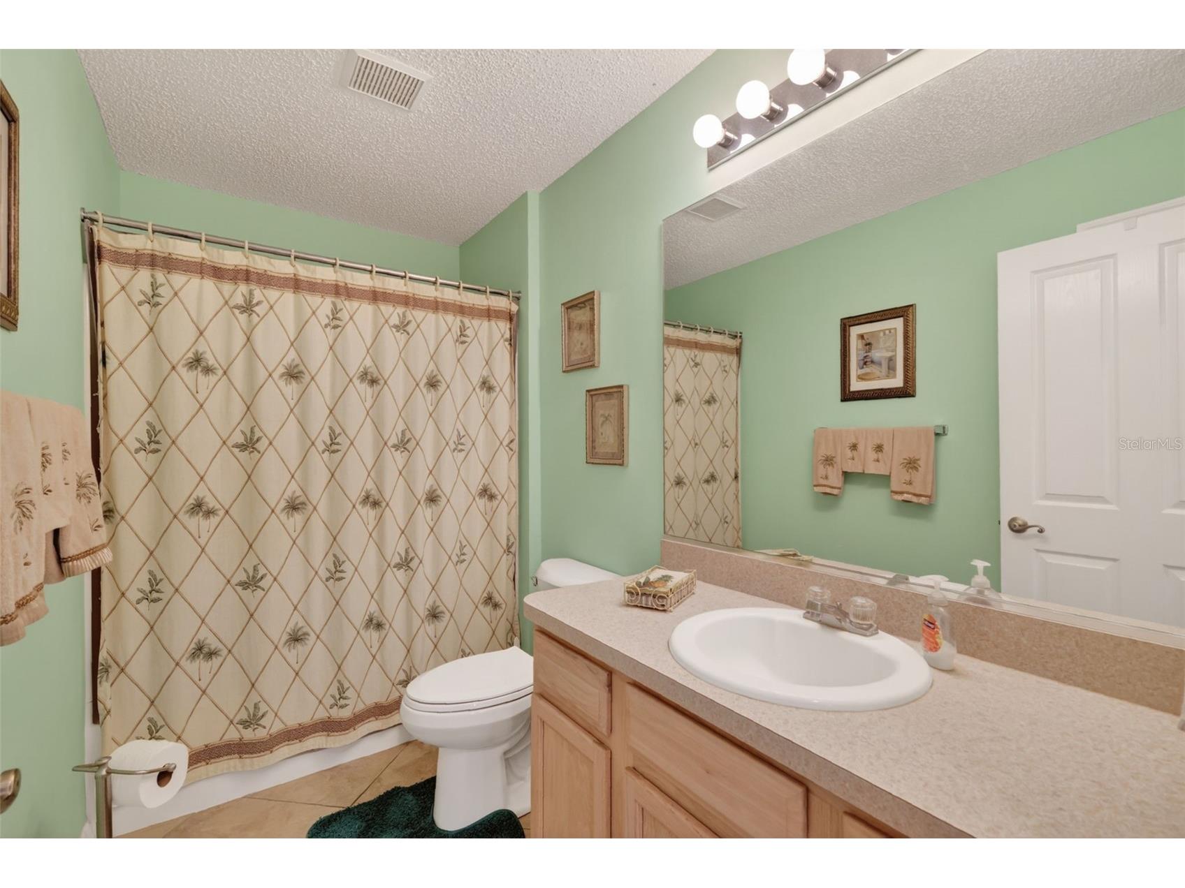 3406 Jacona Place The Villages FL 32162 G5111181 image24
