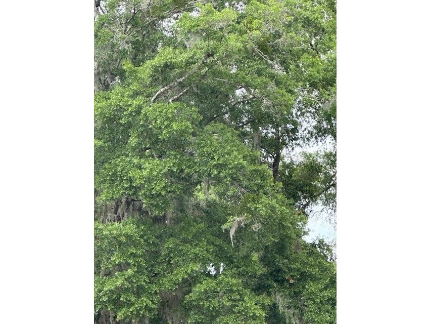 3406 SE 15th Avenue Gainesville FL 32641 GC530737 image1