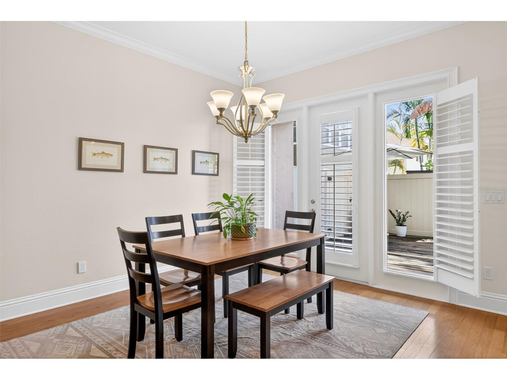 3406 W Granada Street #2 Tampa FL 33629 TB8486273 image10