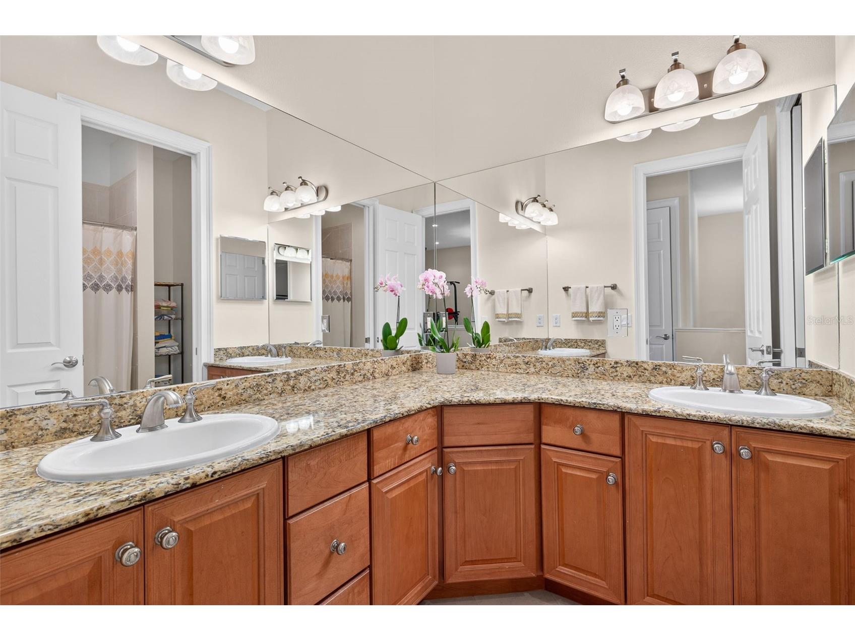 3406 W Granada Street #2 Tampa FL 33629 TB8486273 image21