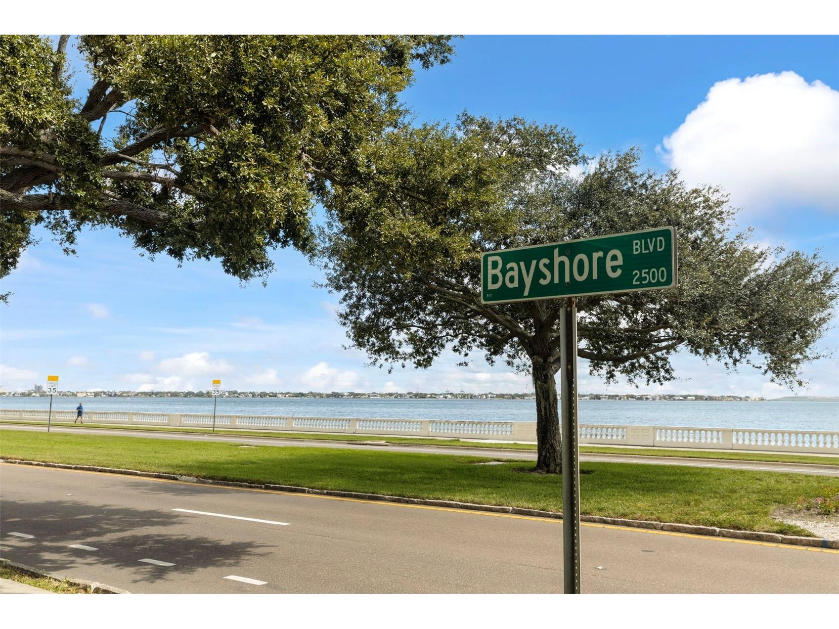 3406 W Swann Avenue Tampa FL 33609 TB8468772 image75