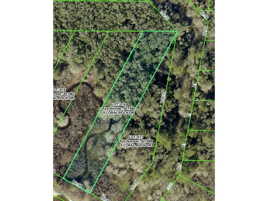 34063 Coral Rock Drive Webster FL 33597 W7879523 image1