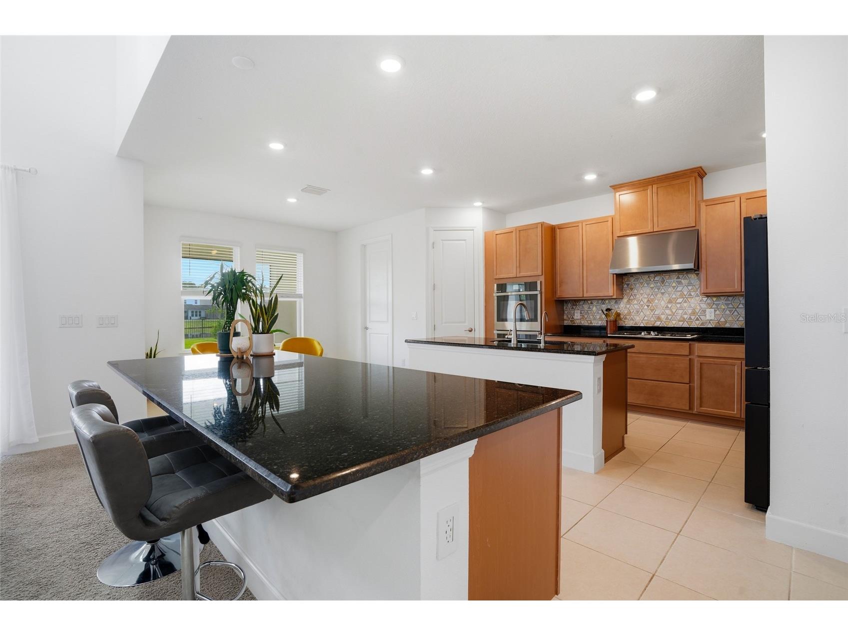 34068 Castaway Loop Wesley Chapel FL 33543 TB8485643 image10