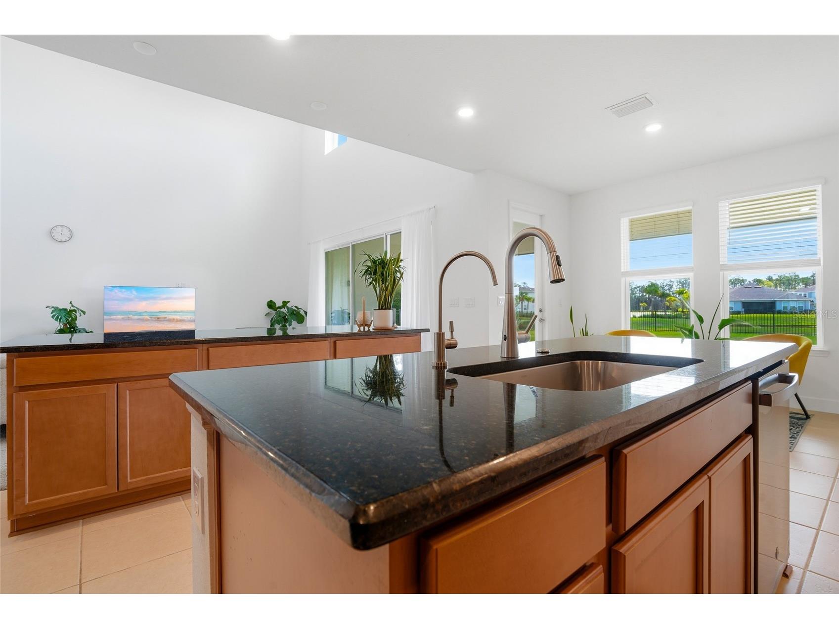 34068 Castaway Loop Wesley Chapel FL 33543 TB8485643 image16