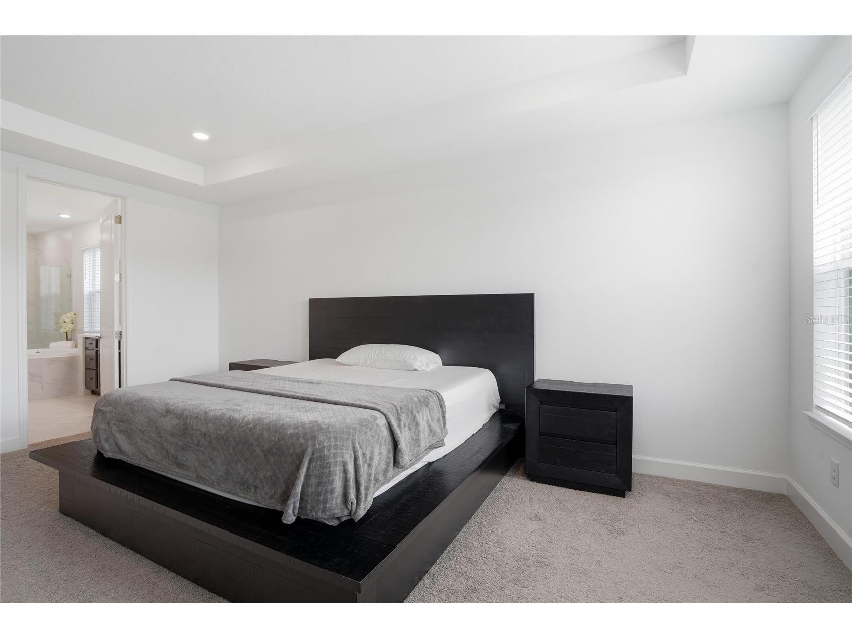 34068 Castaway Loop Wesley Chapel FL 33543 TB8485643 image21