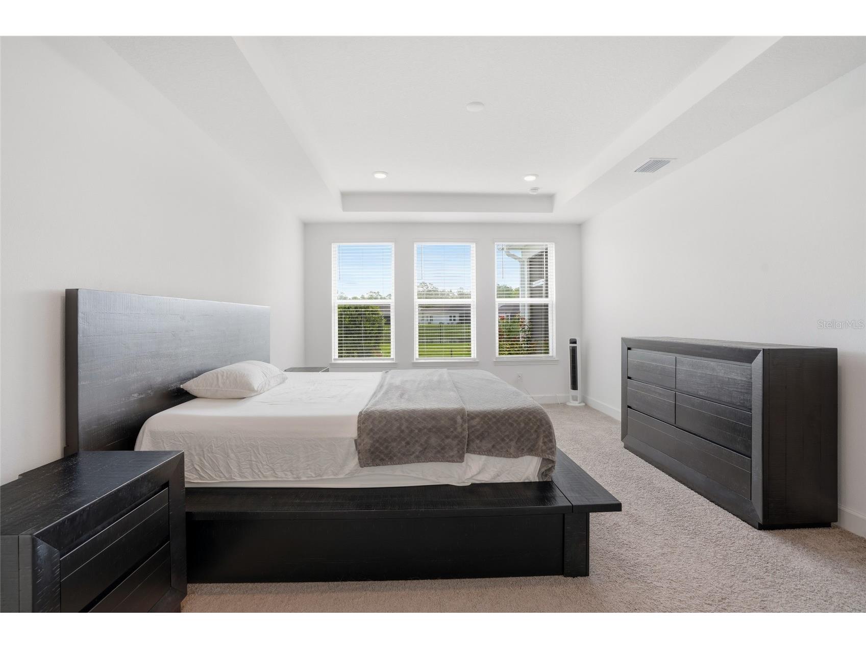 34068 Castaway Loop Wesley Chapel FL 33543 TB8485643 image22