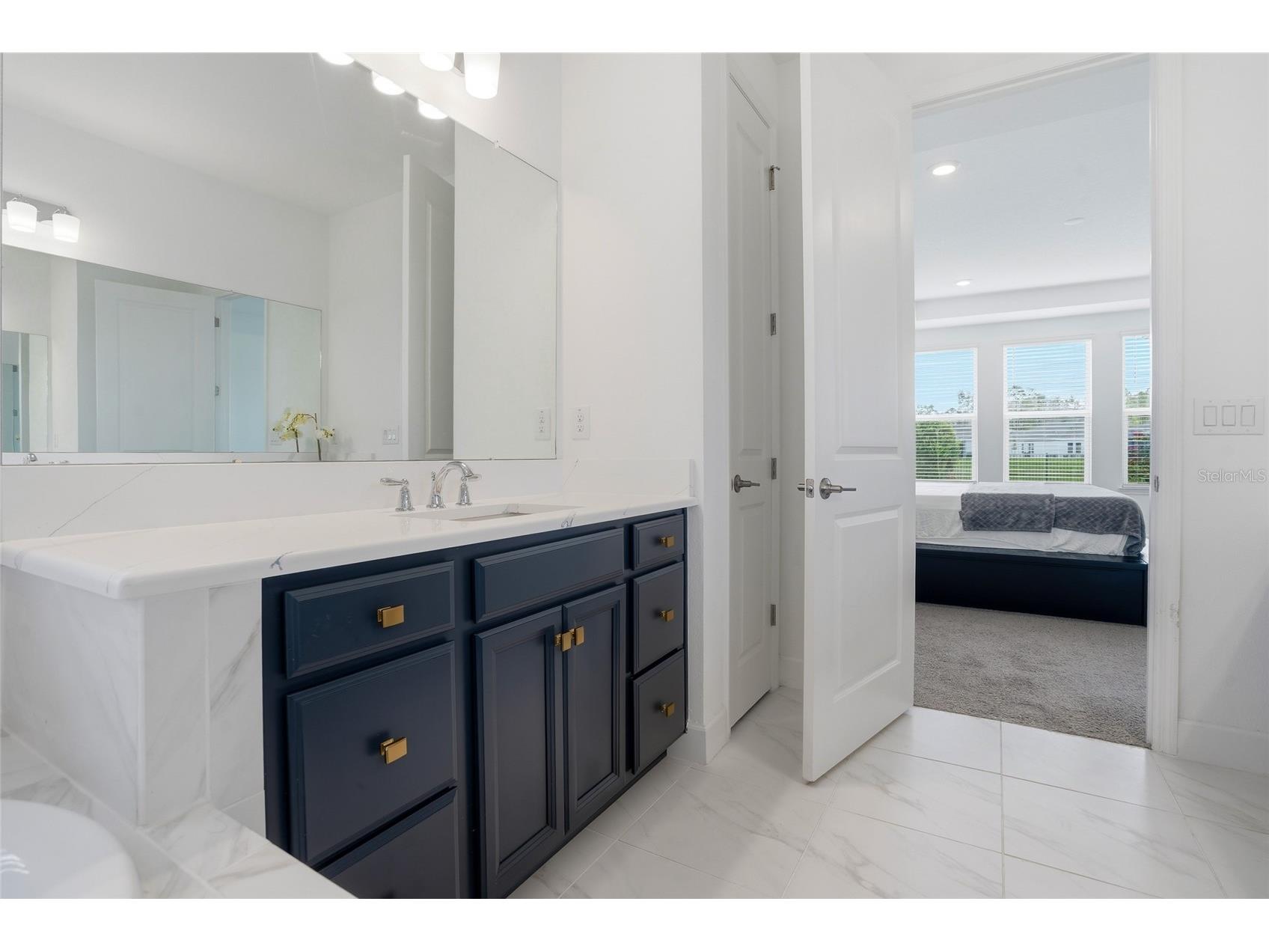 34068 Castaway Loop Wesley Chapel FL 33543 TB8485643 image24