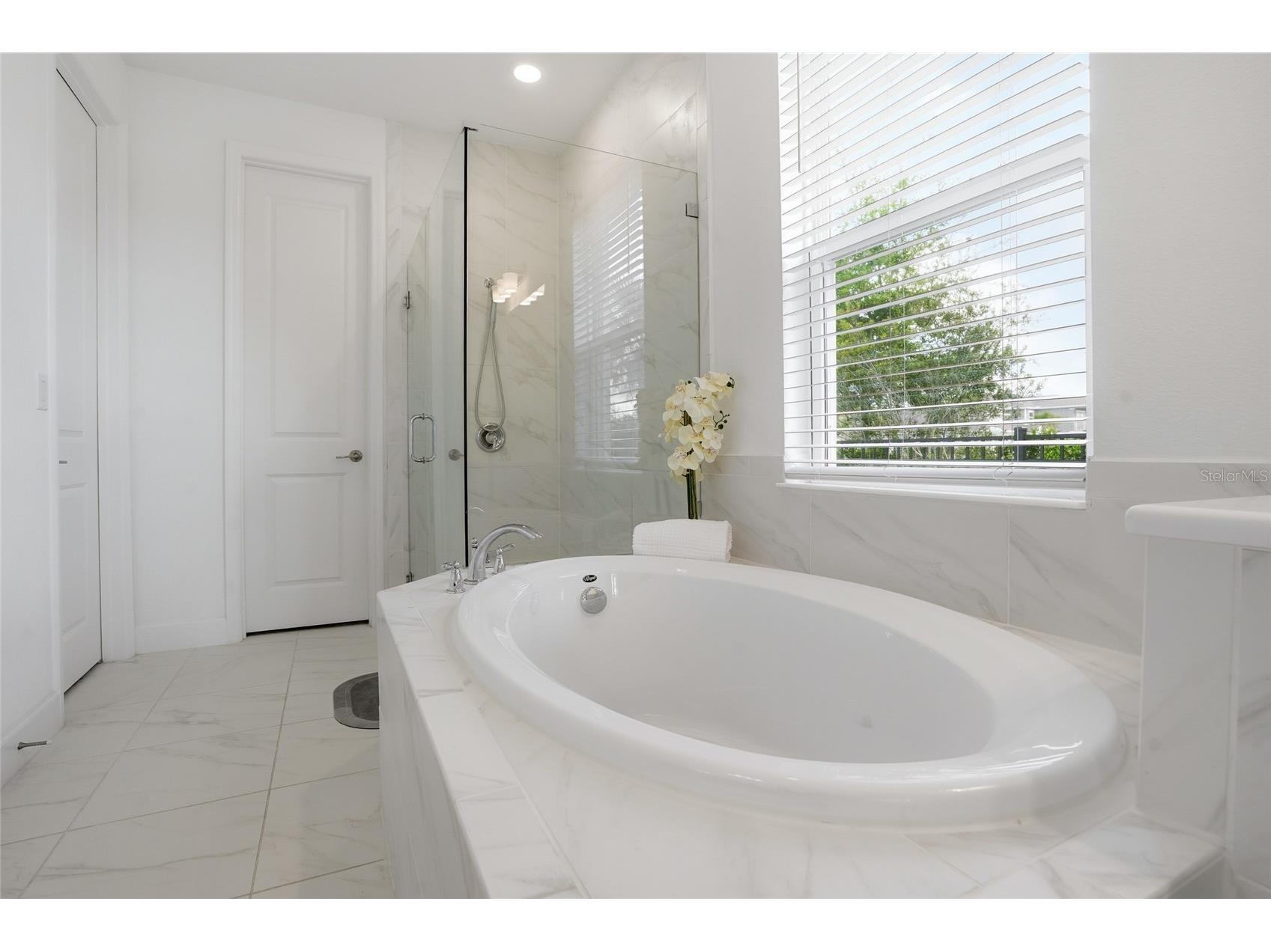 34068 Castaway Loop Wesley Chapel FL 33543 TB8485643 image25