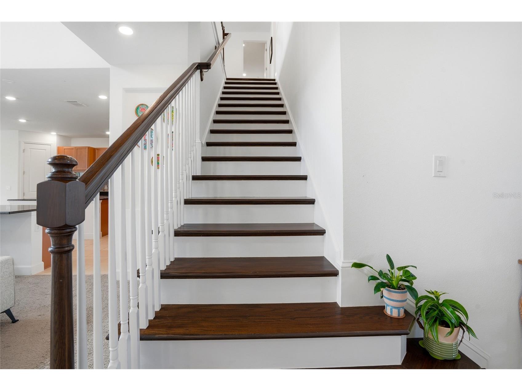 34068 Castaway Loop Wesley Chapel FL 33543 TB8485643 image29