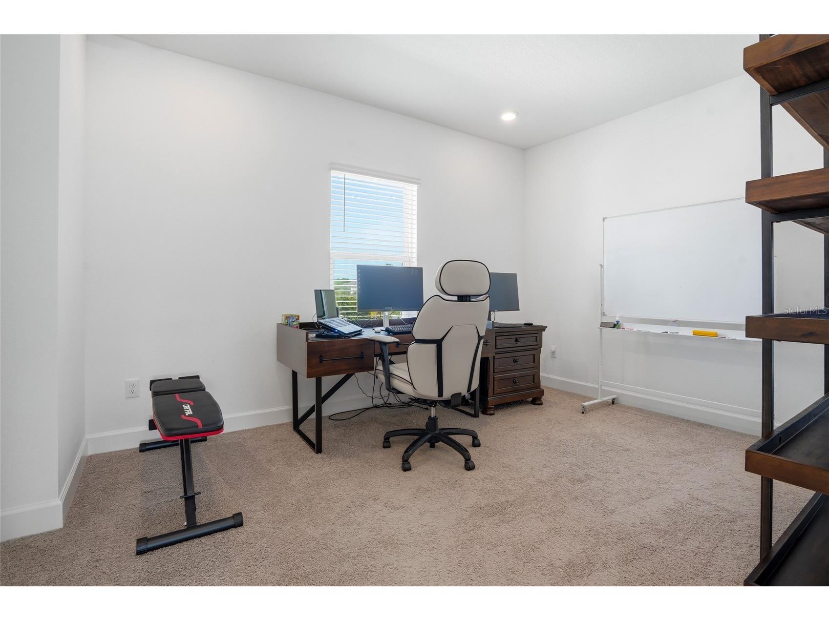 34068 Castaway Loop Wesley Chapel FL 33543 TB8485643 image38