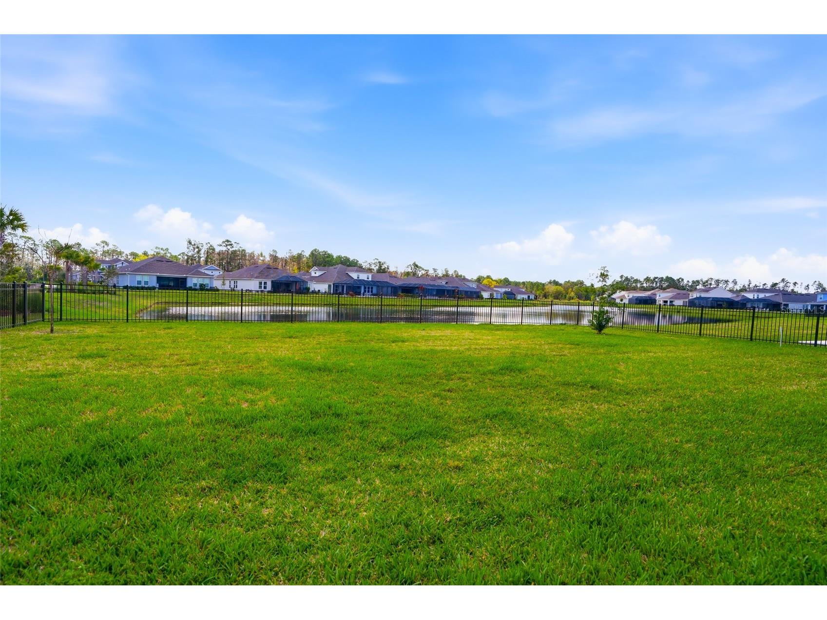 34068 Castaway Loop Wesley Chapel FL 33543 TB8485643 image51