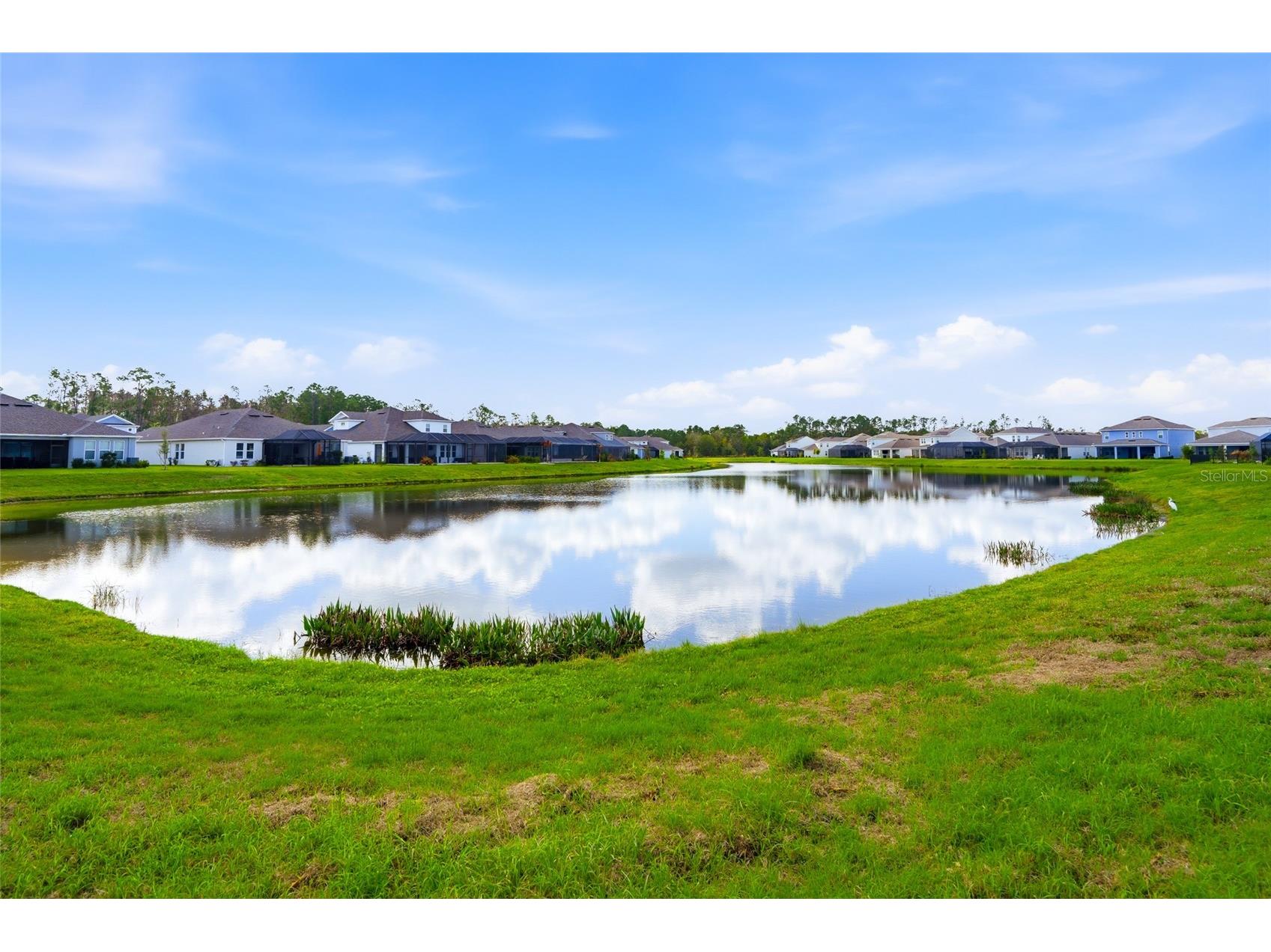 34068 Castaway Loop Wesley Chapel FL 33543 TB8485643 image53