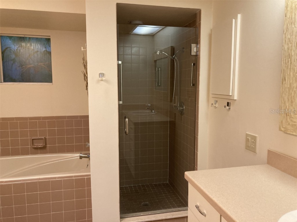 3407 Avenida Madera #A Bradenton FL 34210 A4654198 image14