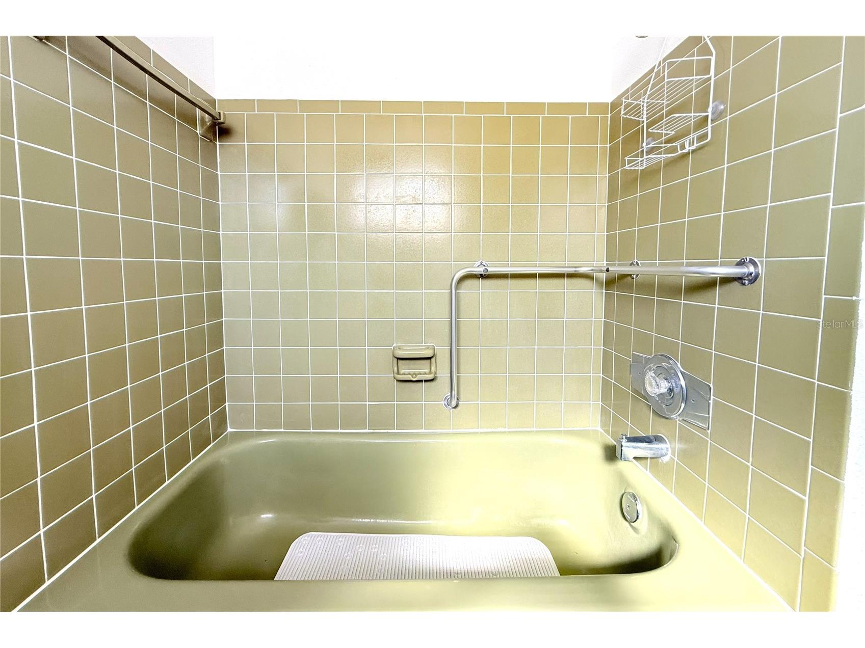 3407 Honeymoon Lane Holiday FL 34691 TB8492093 image31