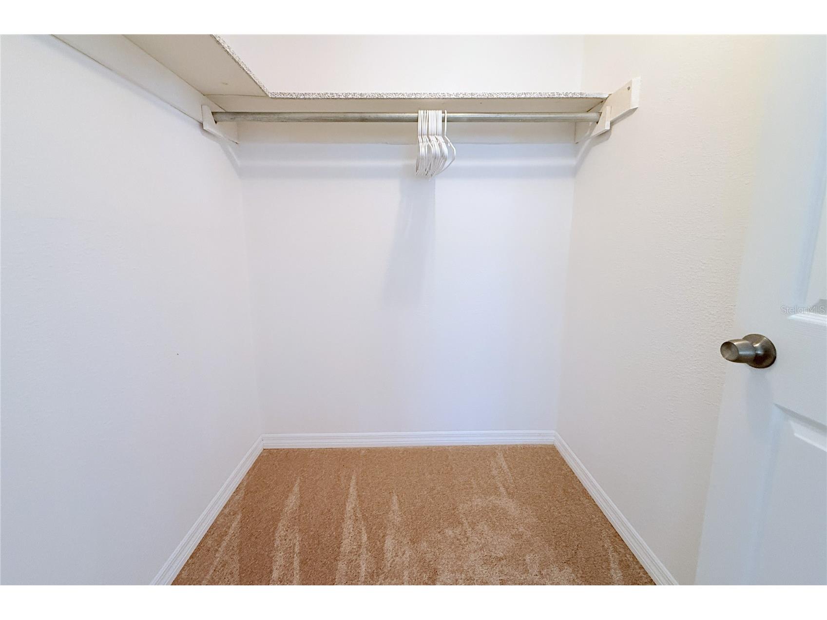 3407 Honeymoon Lane Holiday FL 34691 TB8492093 image34