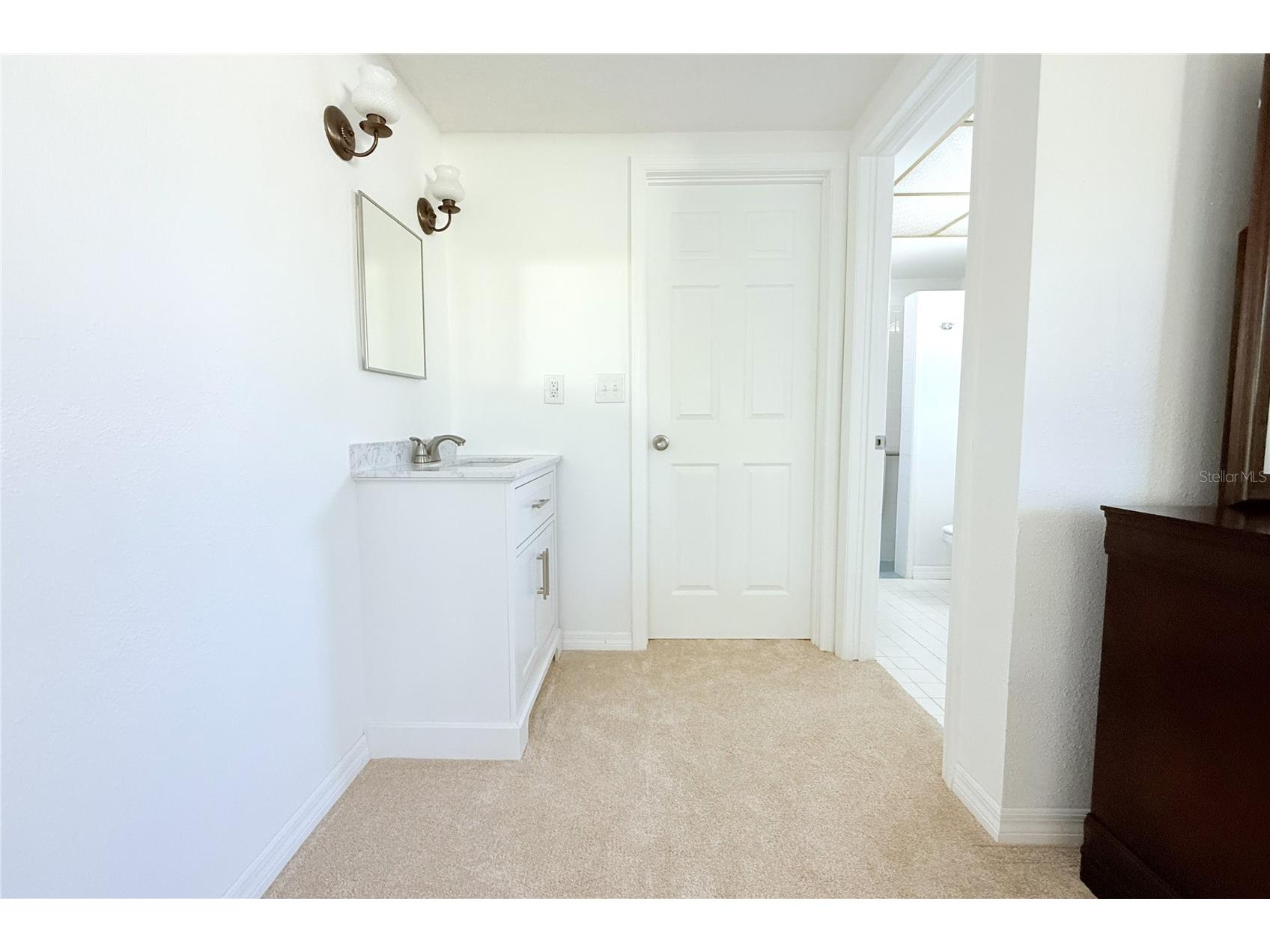 3407 Honeymoon Lane Holiday FL 34691 TB8492093 image35