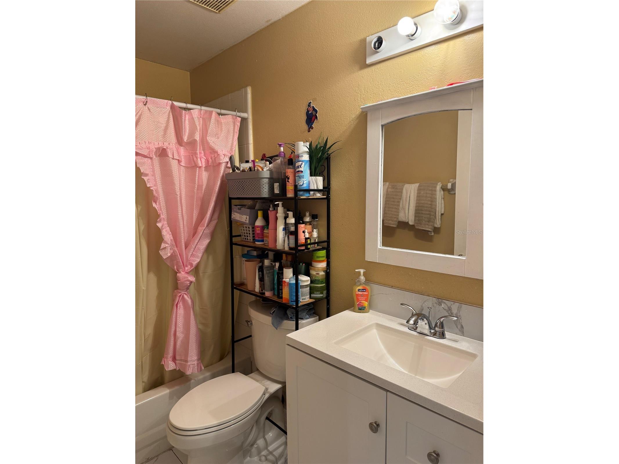 3407 Lake Tiny Circle Orlando FL 32818 O6394534 image23