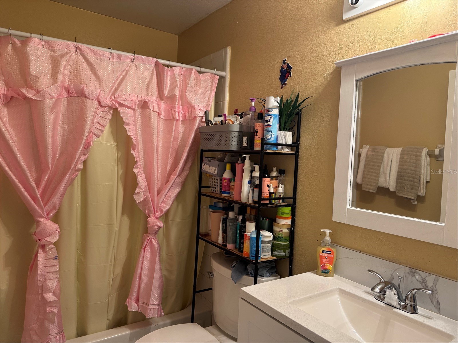 3407 Lake Tiny Circle Orlando FL 32818 O6394534 image26